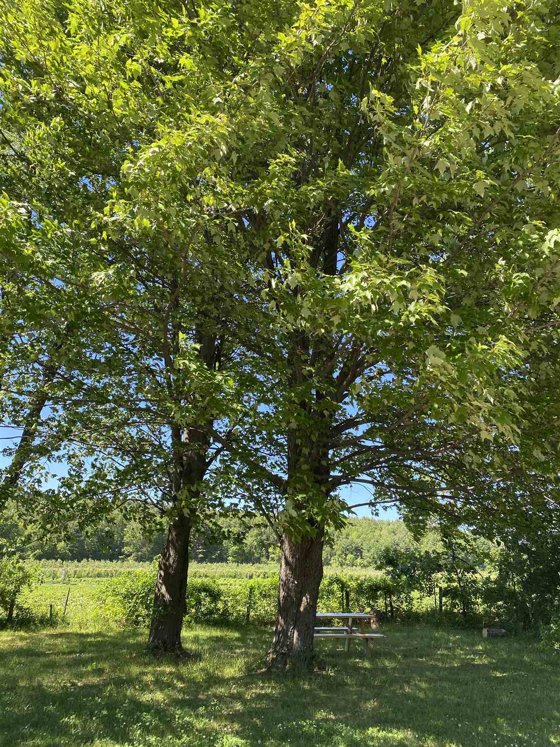 1987 Blakely Road Colchester, VT 05446 - Photo 8 of 33 Gallery Image 8