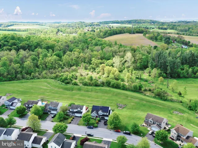 a view of a garden with an outdoor space