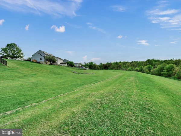 a view of yard with green space
