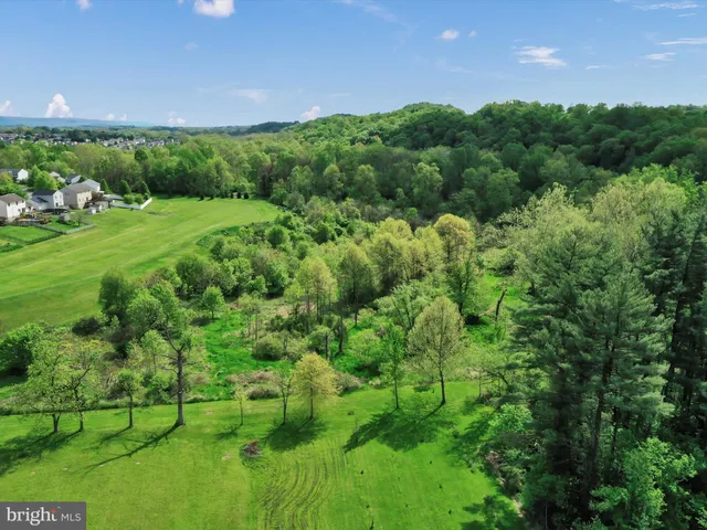 a view of a lush green space