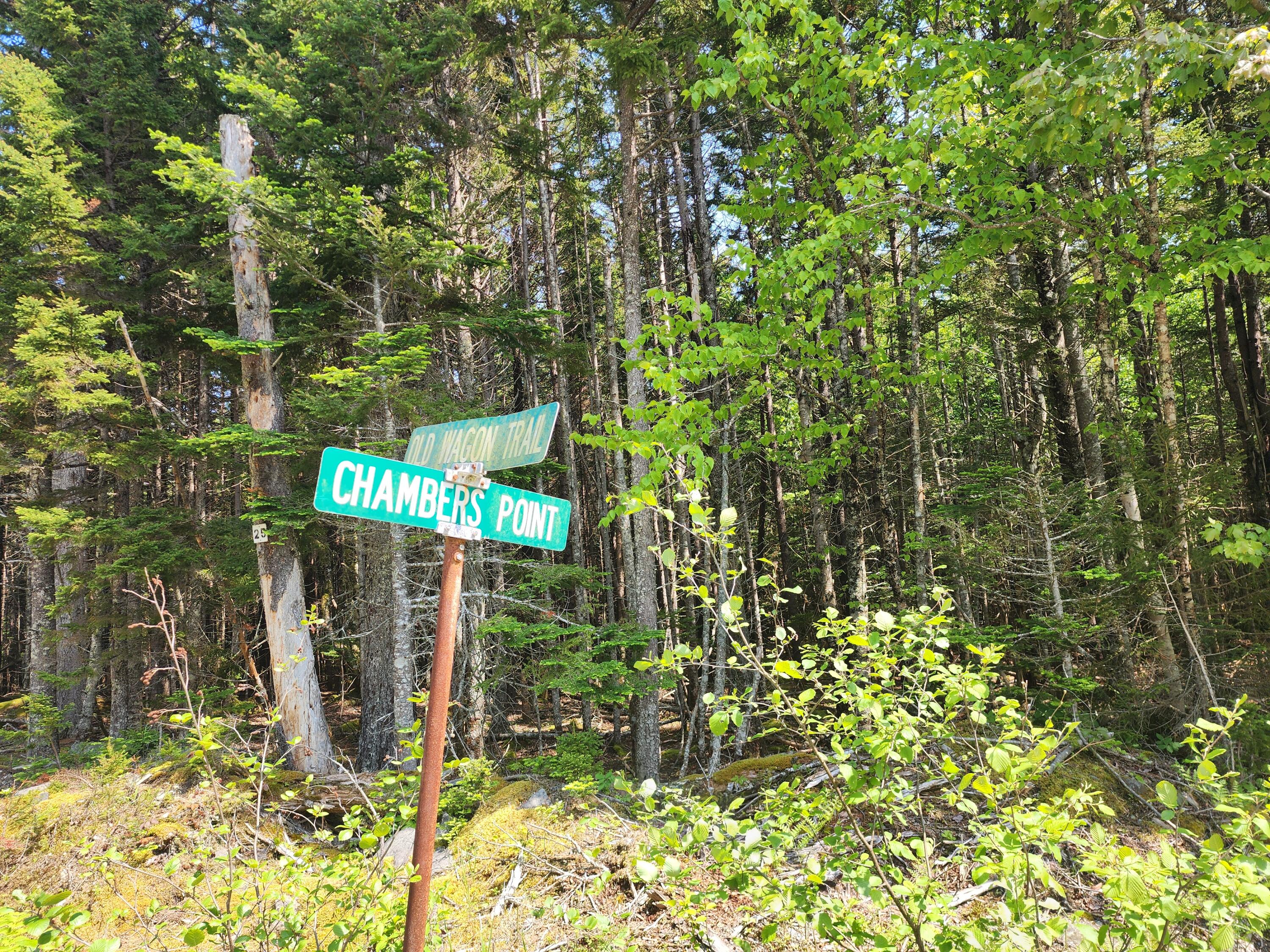25 Chambers Point Road Roque Bluffs, ME 04654 - Photo 9 of 12 20250611_142742