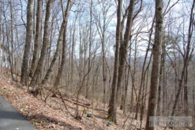 238 Windridge Road Newland, NC 28657 - Photo 1 of 5 Gallery Image 1