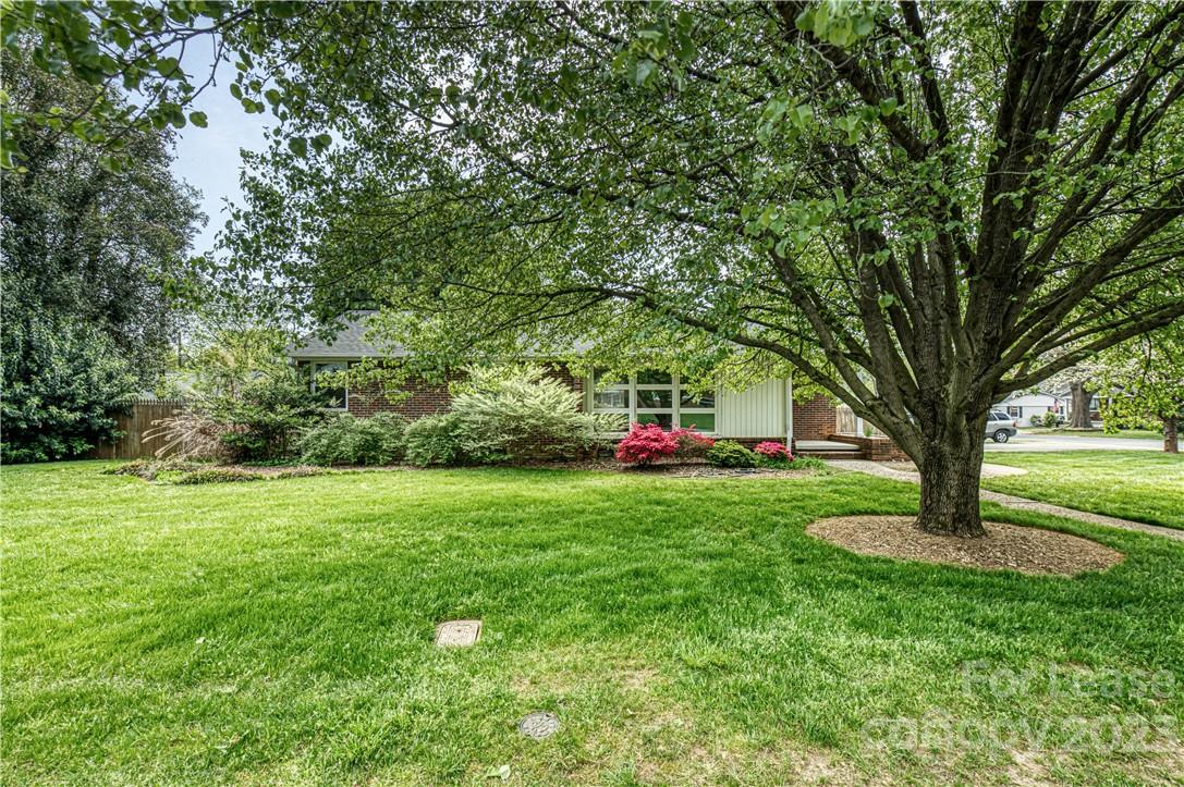 a view of backyard with huge green field and trees