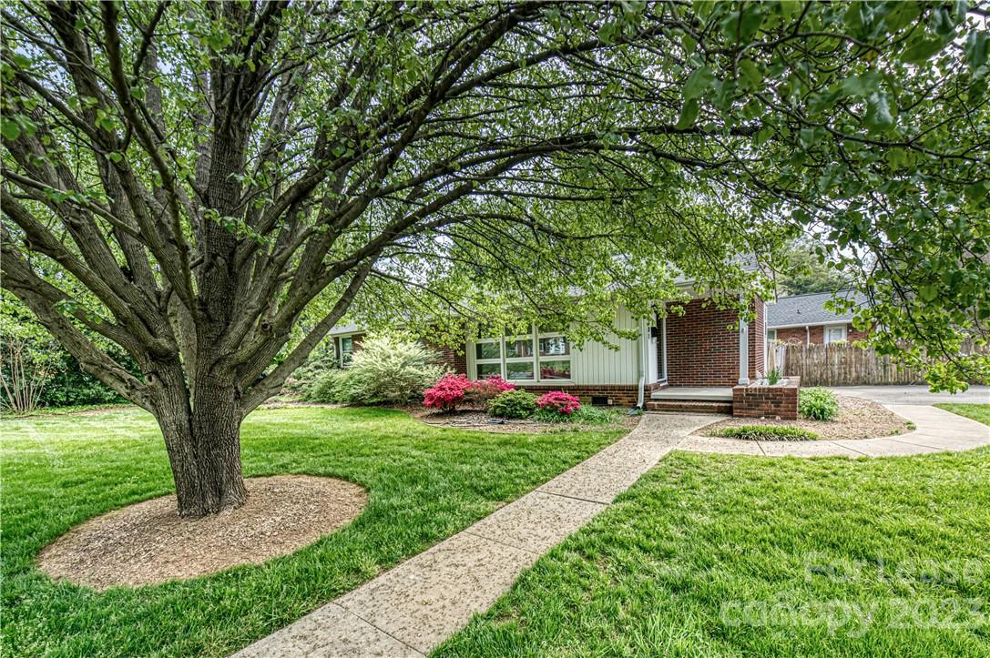 4301 Applegate Road Charlotte, NC 28209 - Photo 2 of 21 a front view of a house with garden and trees