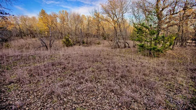 a view of a yard with trees