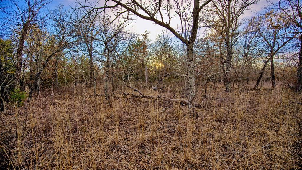 1943 Lakeridge Boulevard Sunset, TX 76270 - Photo 12 of 24 a view of a yard with trees