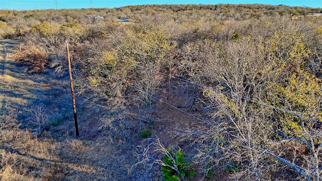 1943 Lakeridge Boulevard Sunset, TX 76270 - Photo 13 of 24 a view of a dry yard with large trees