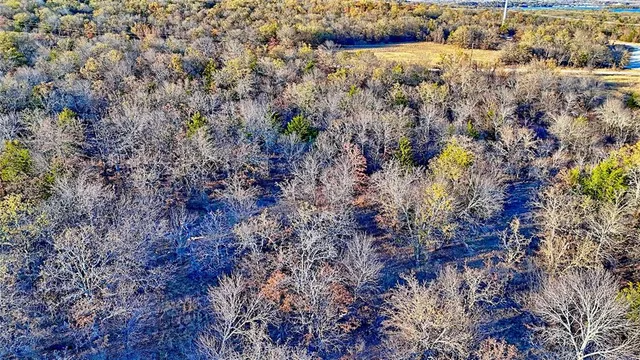 a view of a yard with trees