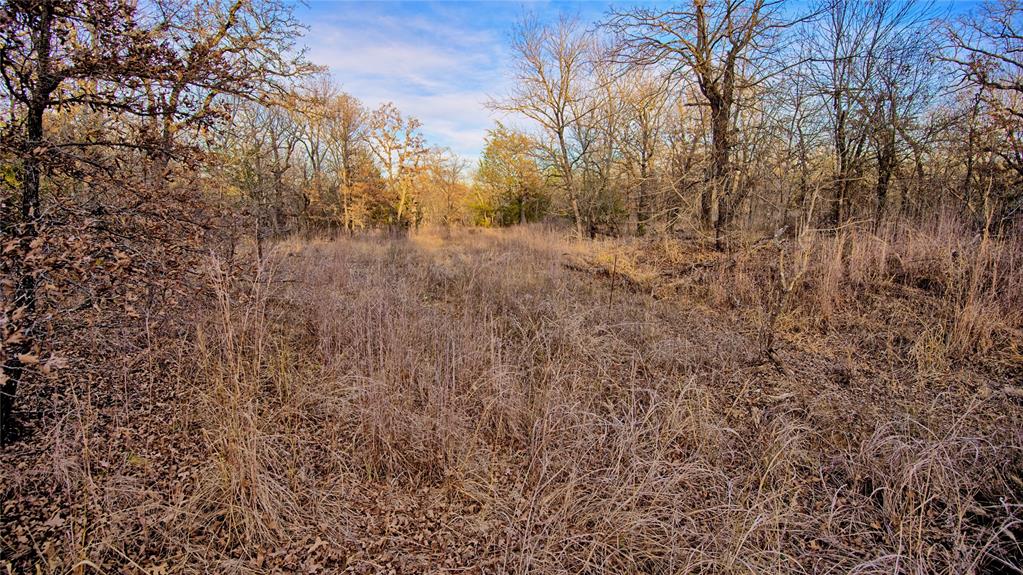 1943 Lakeridge Boulevard Sunset, TX 76270 - Photo 15 of 24