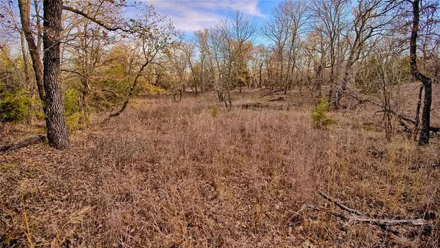 a view of ocean and a yard