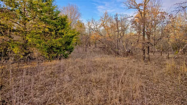 a view of a yard with a tree
