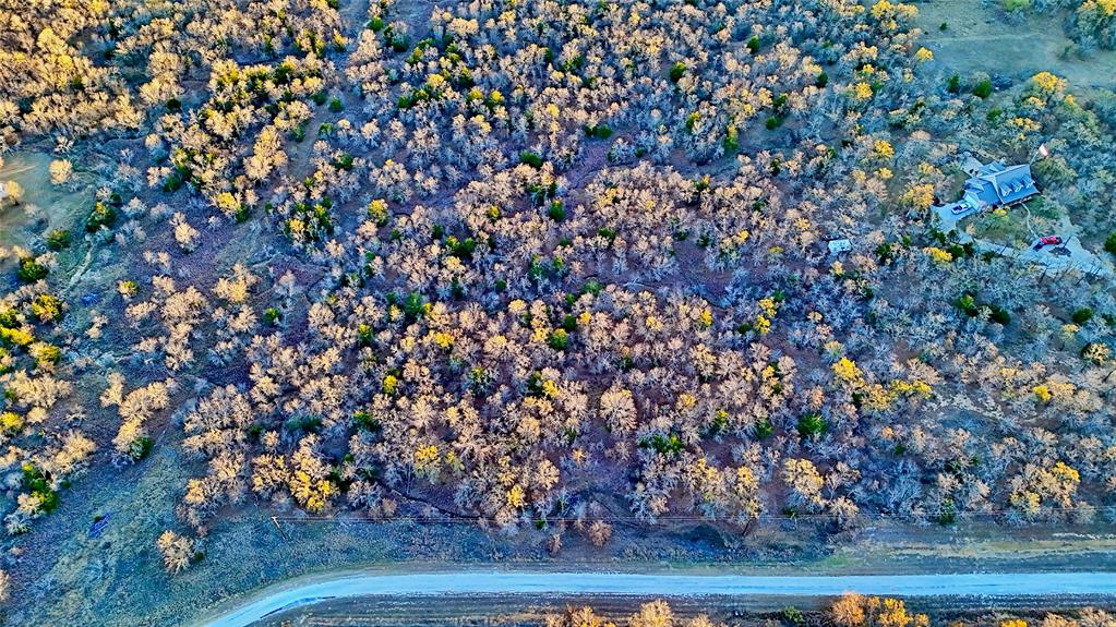 1943 Lakeridge Boulevard Sunset, TX 76270 - Photo 4 of 24 a view of a tree with an outdoor space