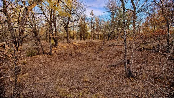 a view of forest