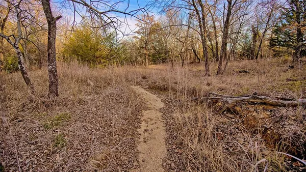 a view of a yard with lots of bushes and tree