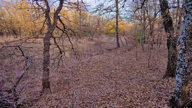 a view of a yard with lots of bushes