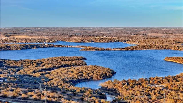 a view of a yard with a tree