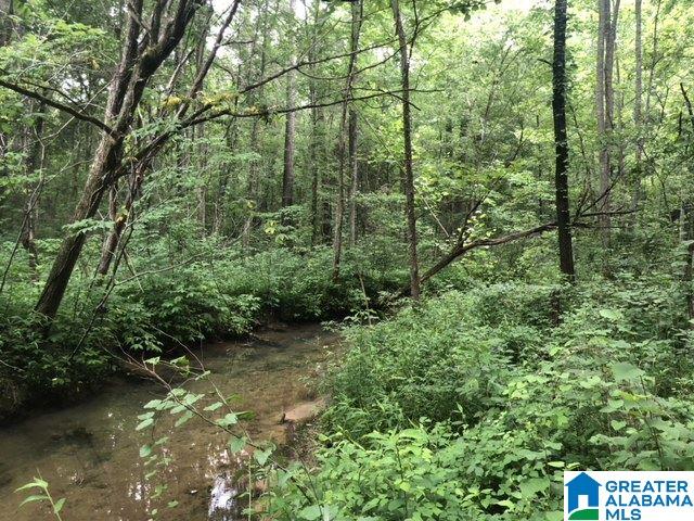 Country Road, Unit 782 783 785 Warrior, AL 35180 - Photo 1 of 7