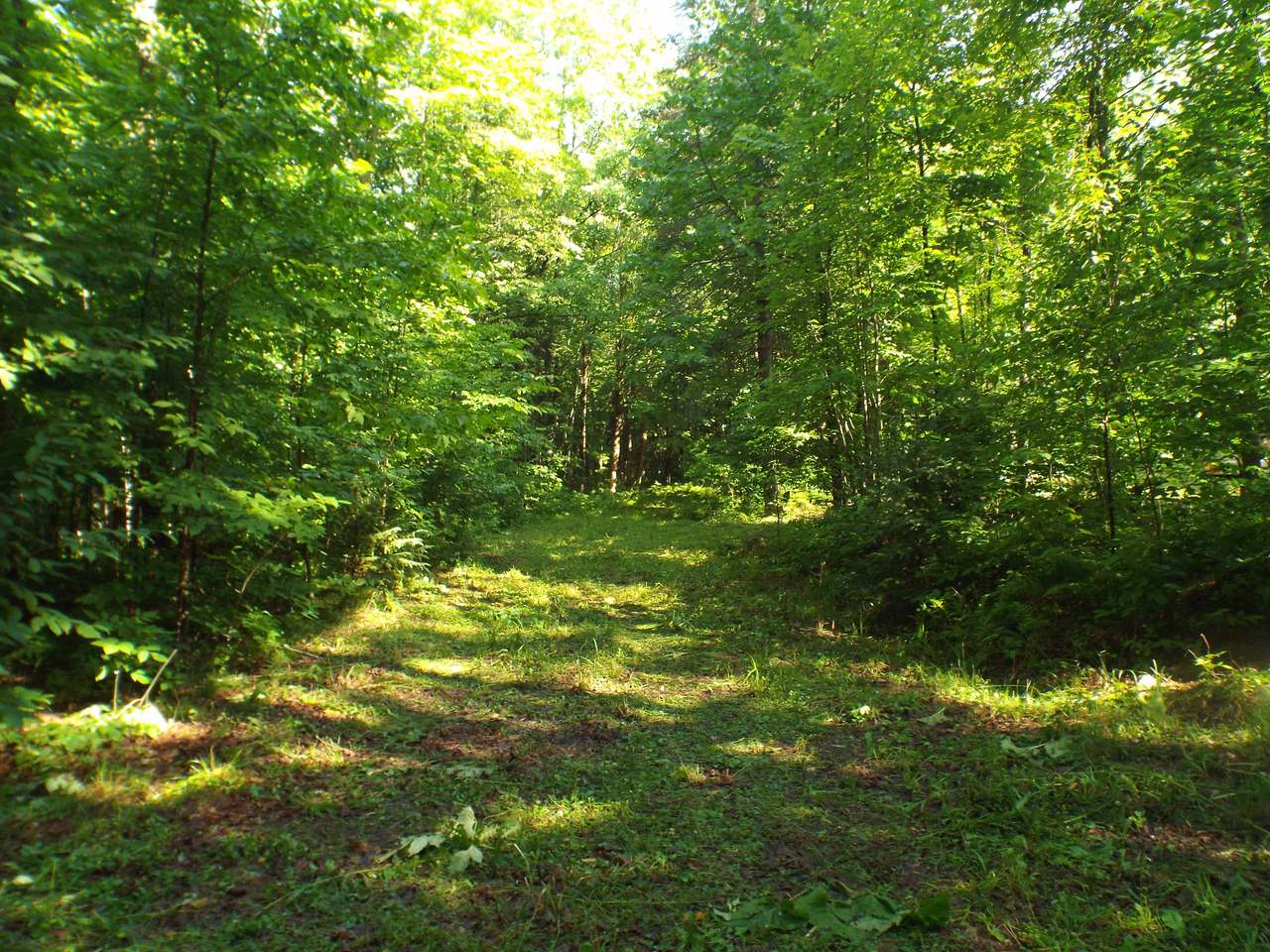 6564 Double Bend Road Argonne, WI 54511 - Photo 6 of 33 Gallery Image 6