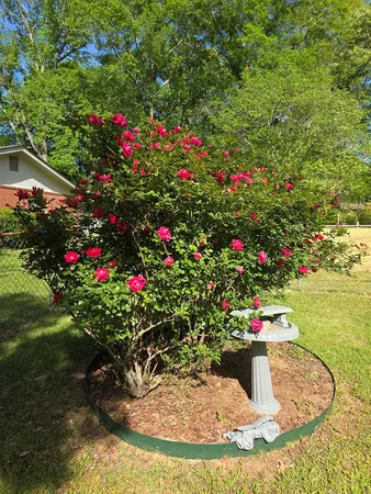 $1,600 | 75 Archie Lane, Pine Mountain, GA 31822