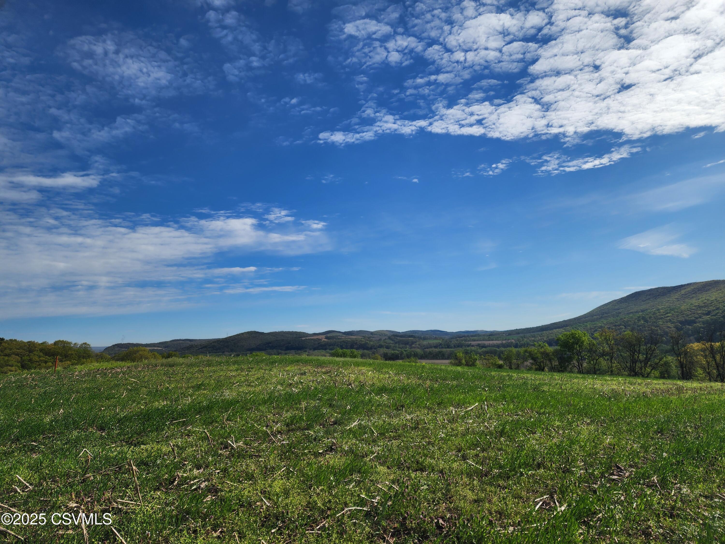 Roosters Rd Port Port Trevorton, PA 17864 - Photo 18 of 23
