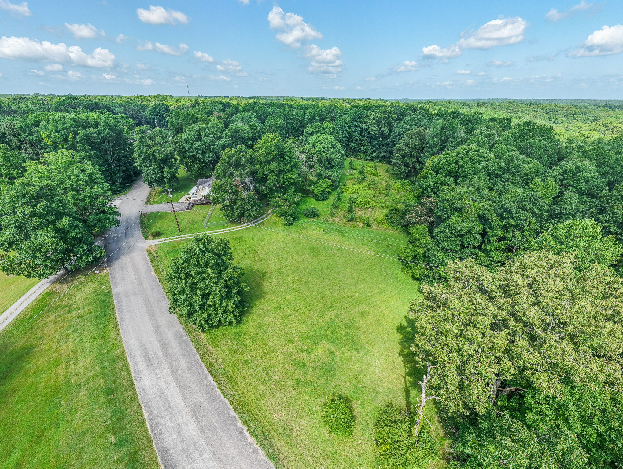 7125 Ivey Road Fairview, TN 37062 - Photo 89 of 98