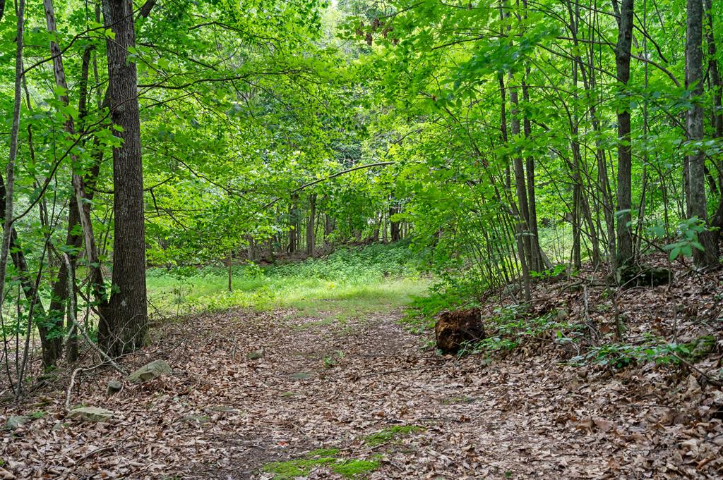 Lot G Springdale Road, Unit G Pearisburg, VA 24134 - Photo 13 of 62 Gallery Image 13