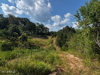 274 Everett Church Road Mendenhall, MS 39114 - Photo 8 of 9 IMG_5123