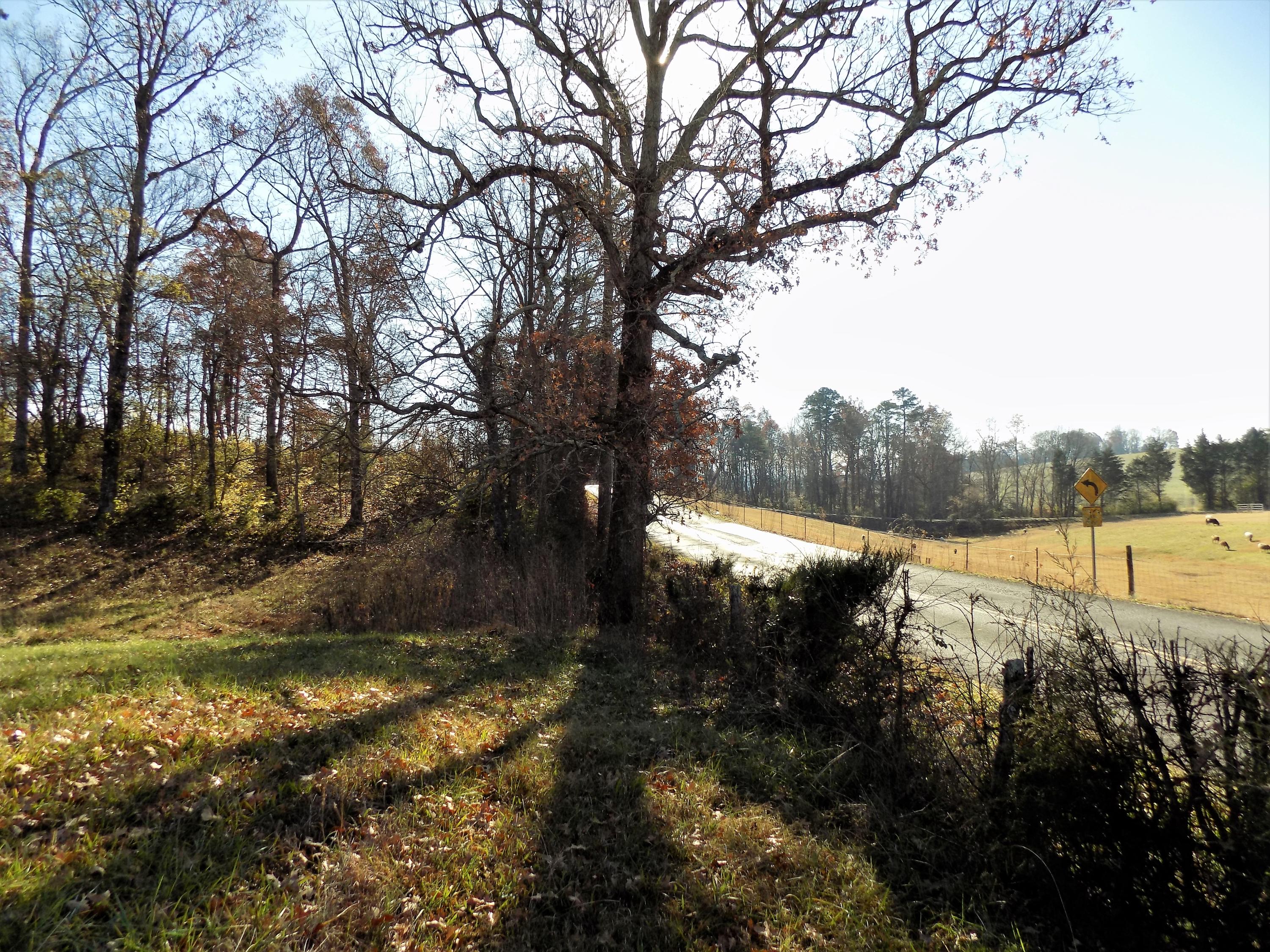 Lot #1 Cannon Road Jefferson City, TN 37760 - Photo 22 of 31 Country Setting