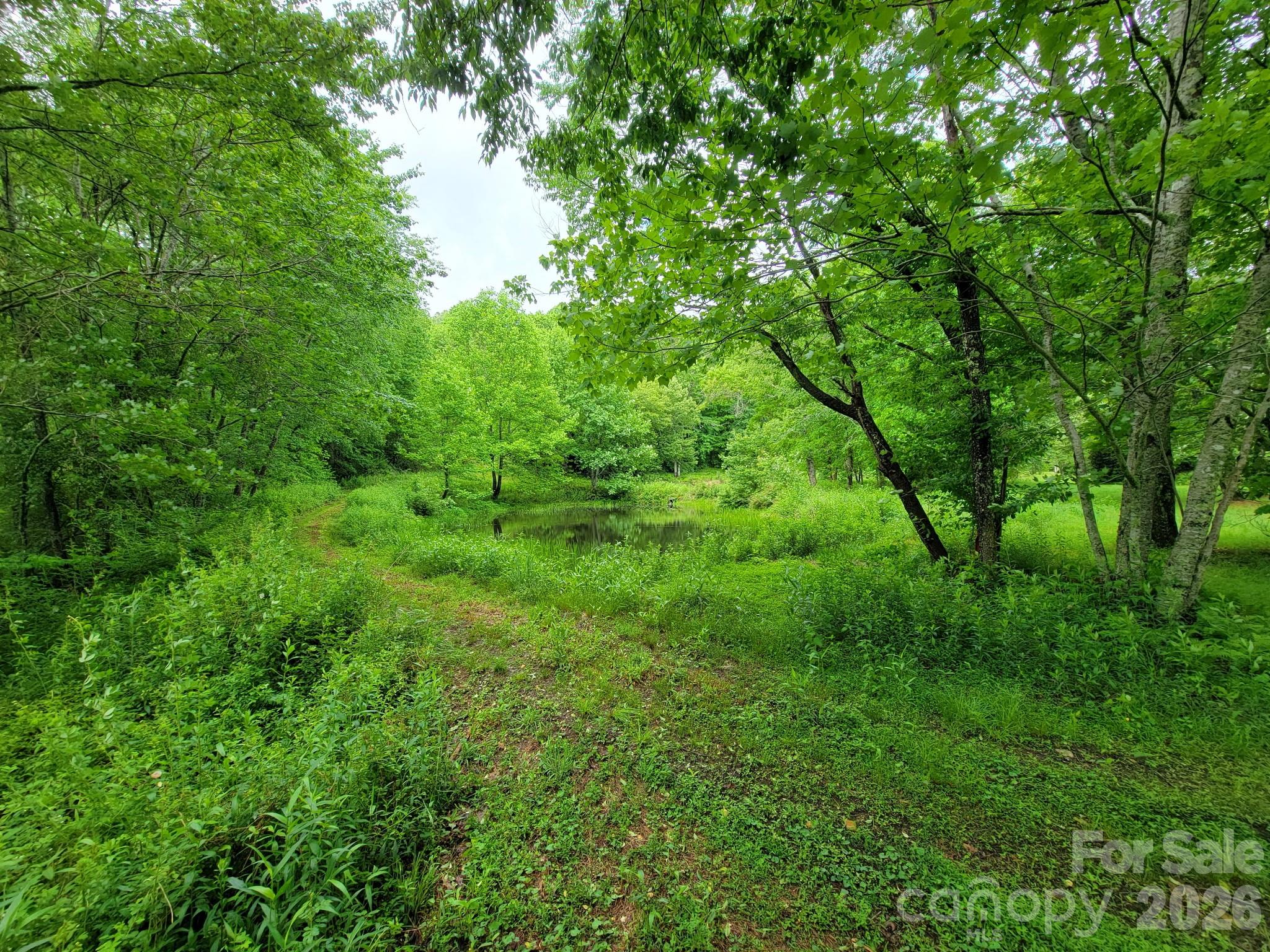 Tbd Sweetwater Rdg Road, Unit 1 Balsam Grove, NC 28708 - Photo 9 of 24 a view of a lush green space