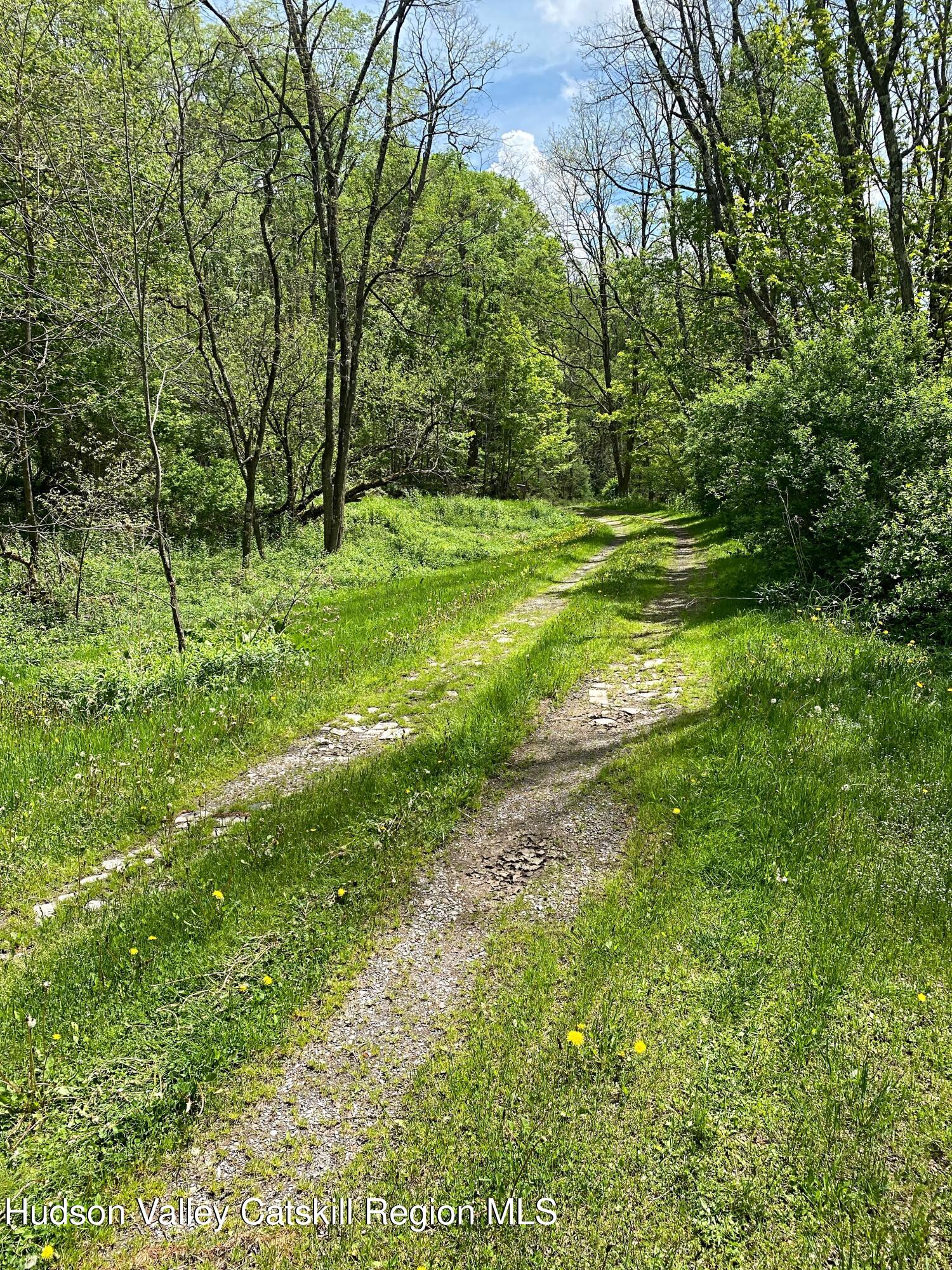 667 West Platner Brook Road Delhi, NY 13753 - Photo 7 of 21 IMG_8083
