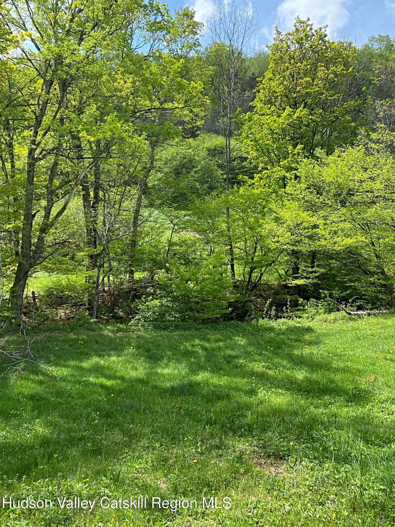 667 West Platner Brook Road Delhi, NY 13753 - Photo 8 of 21 IMG_8084