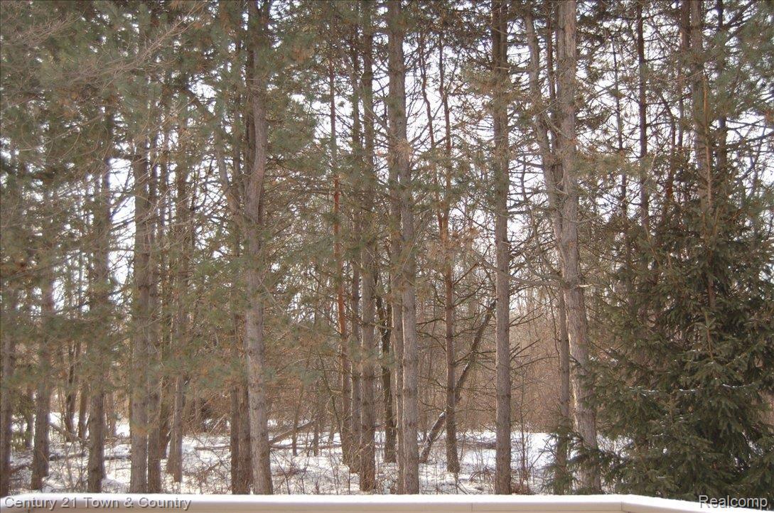 3520 Summit Ridge Drive Rochester, MI 48306 - Photo 2 of 25 Your view...
