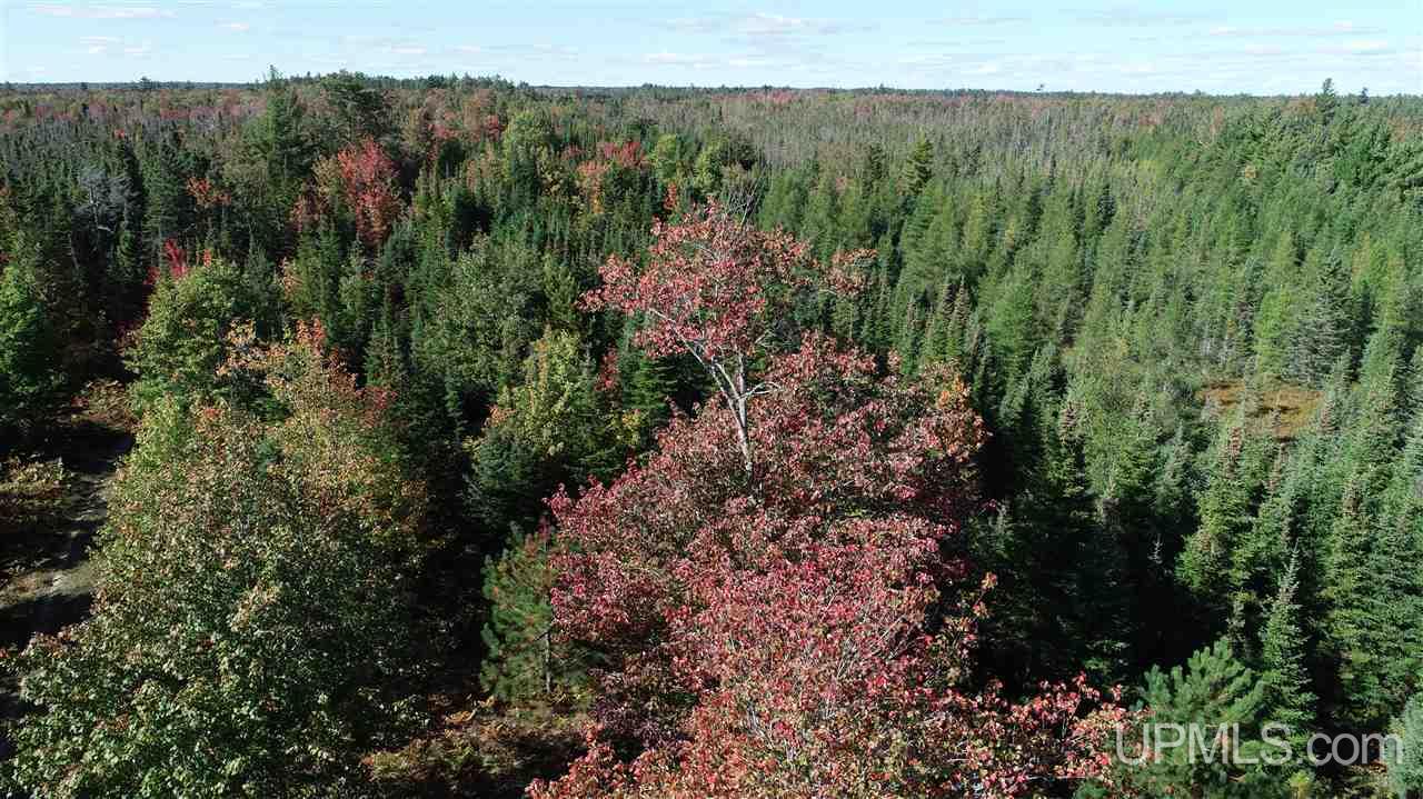 1480 Acres On Co Road Manistique, MI 49854 - Photo 47 of 49