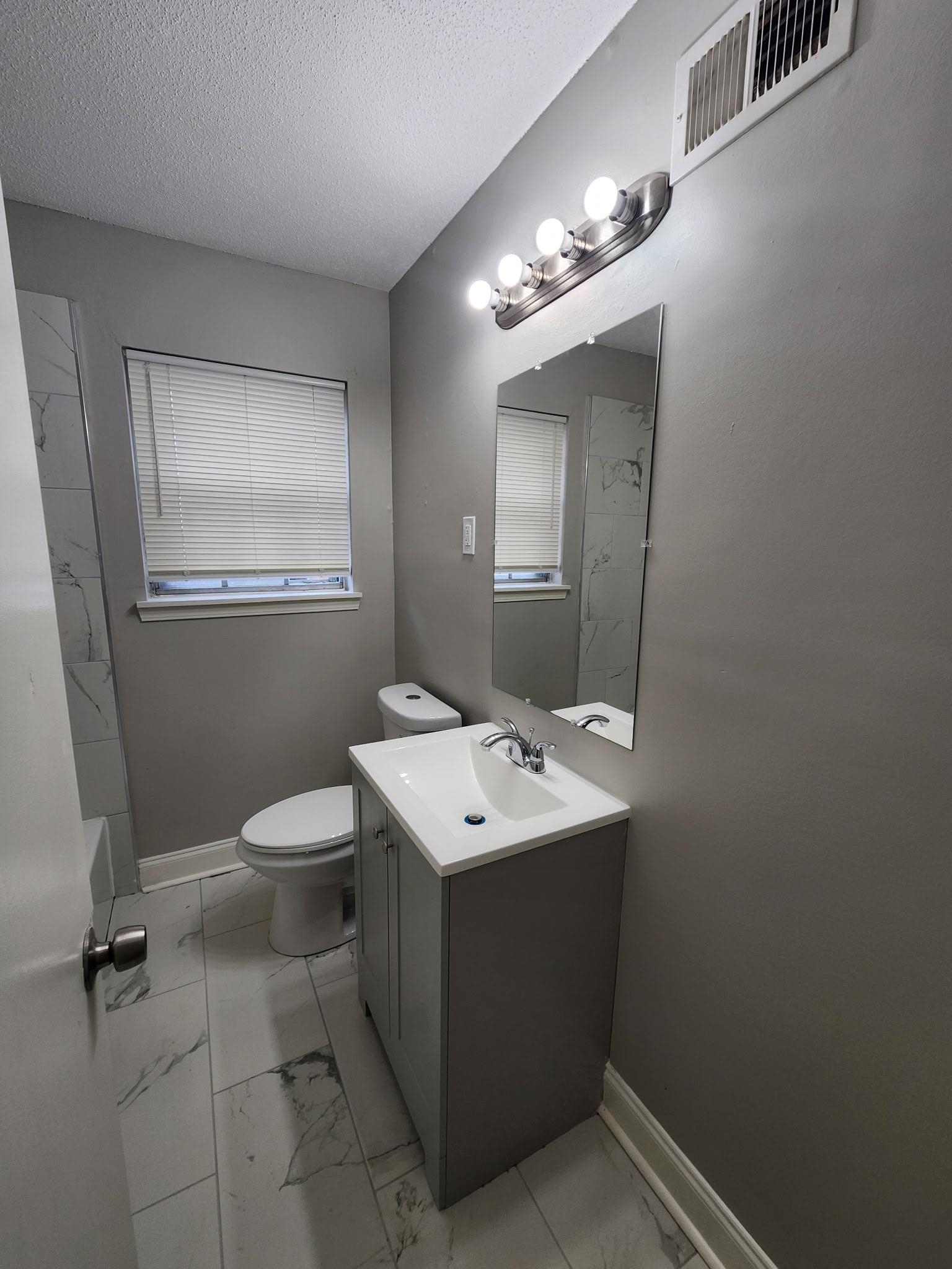 3446 Fox Meadows Road Memphis, TN 38115 - Photo 21 of 22 a bathroom with a toilet sink and mirror