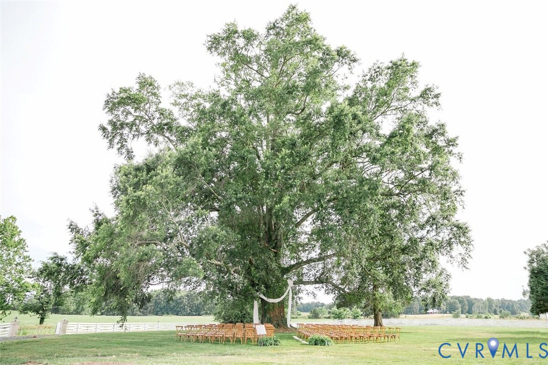 189 Old Buckingham Road Cumberland, VA 23040 - Photo 48 of 50 a view of a yard with green space and trees