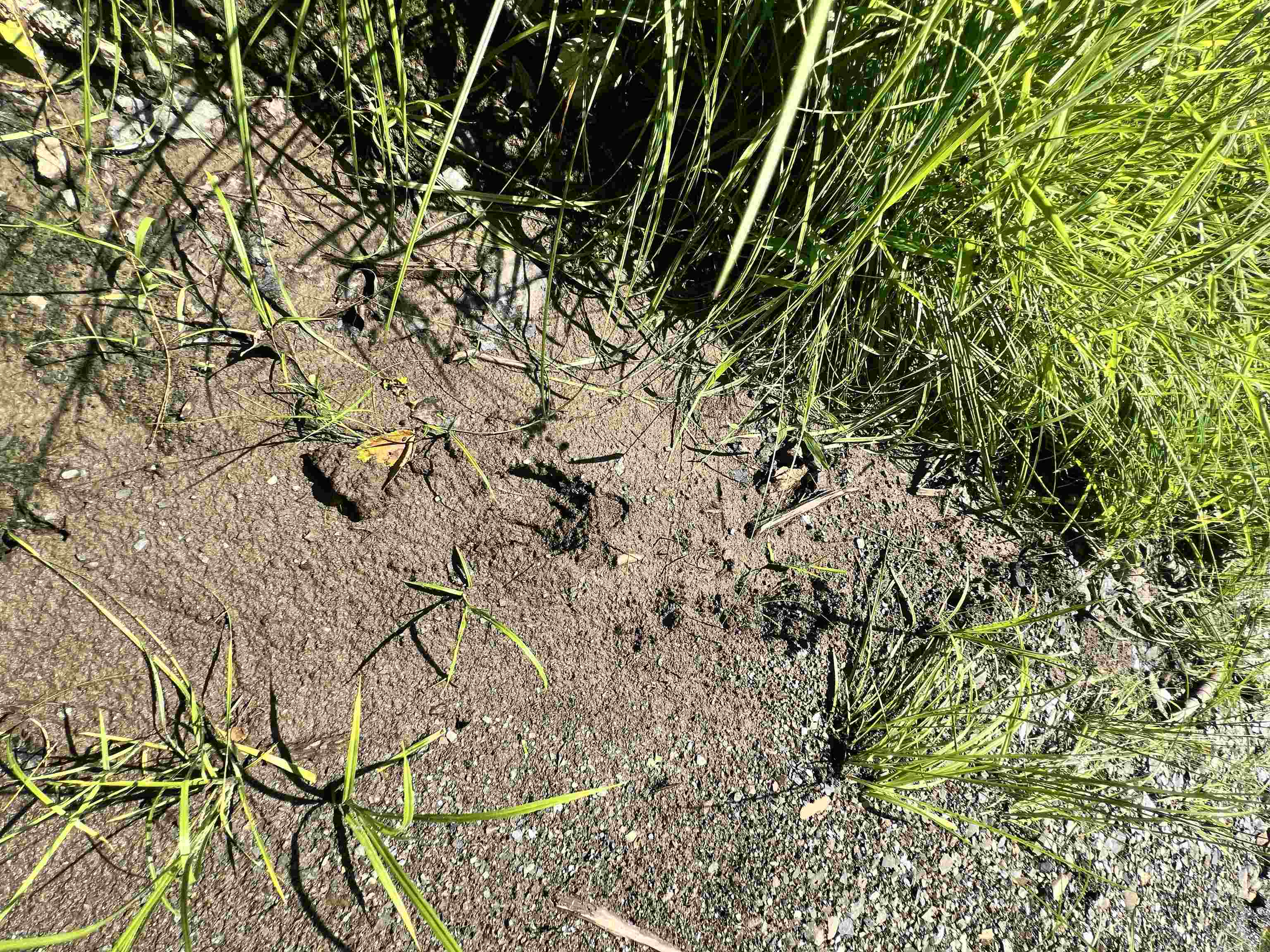 - Denio Road St. Johnsbury, VT 05819 - Photo 13 of 47