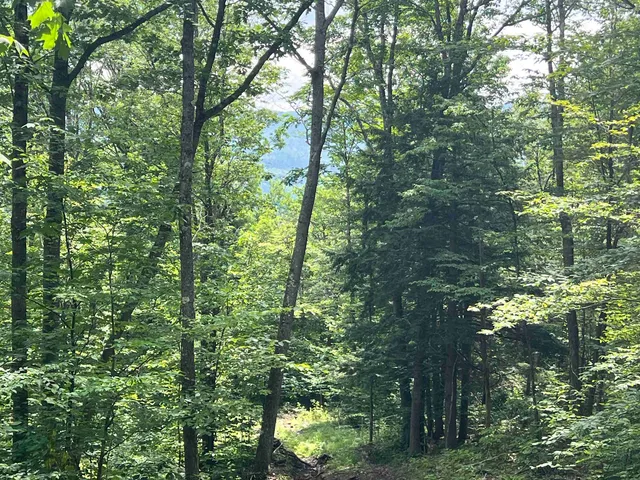 $279,900 | - Denio Road, St. Johnsbury, VT 05819