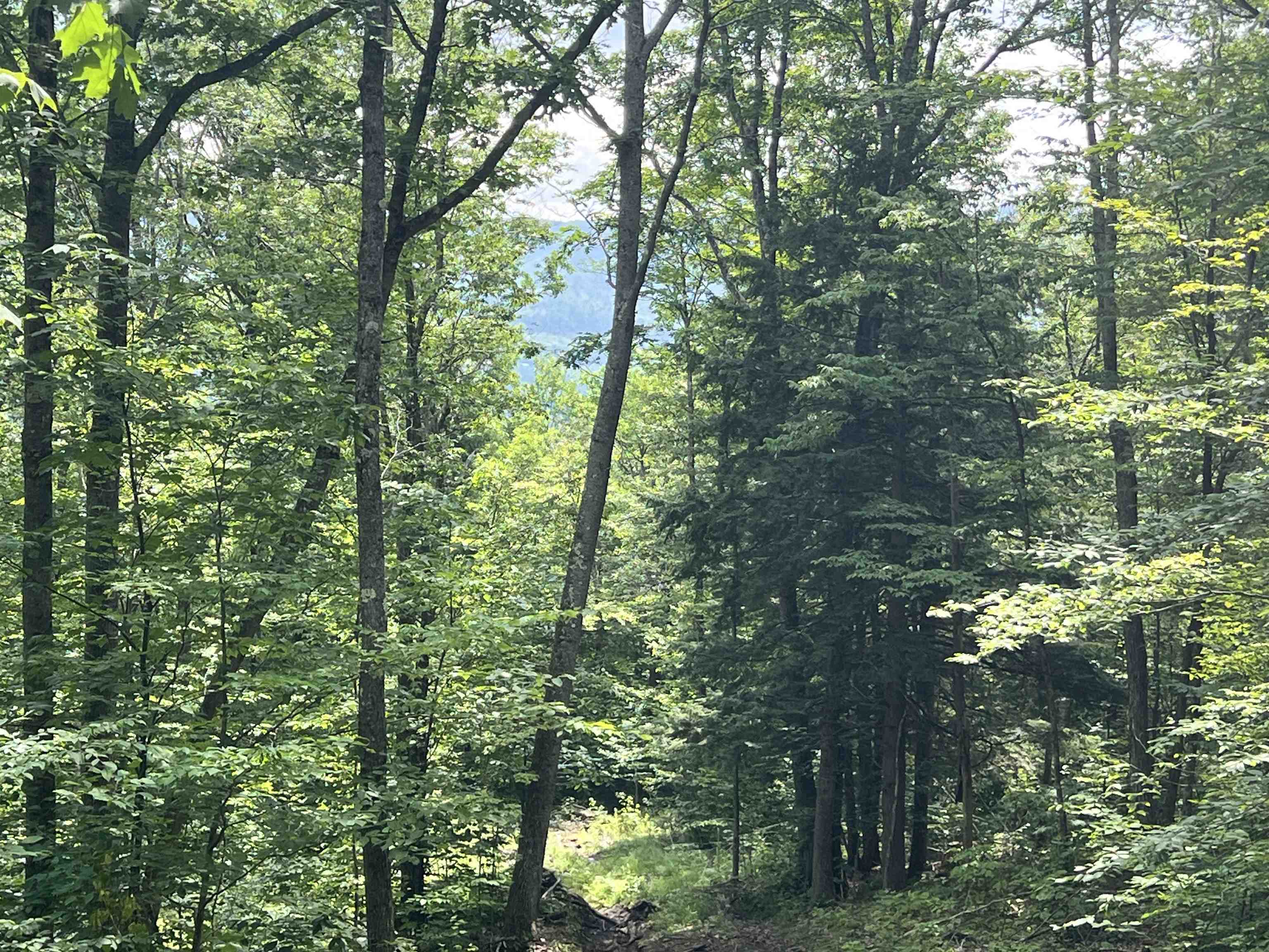 - Denio Road St. Johnsbury, VT 05819 - Photo 16 of 47