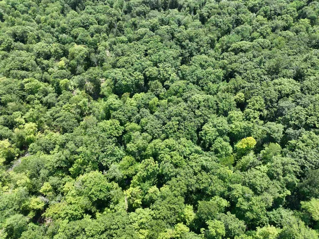 $279,900 | - Denio Road, St. Johnsbury, VT 05819