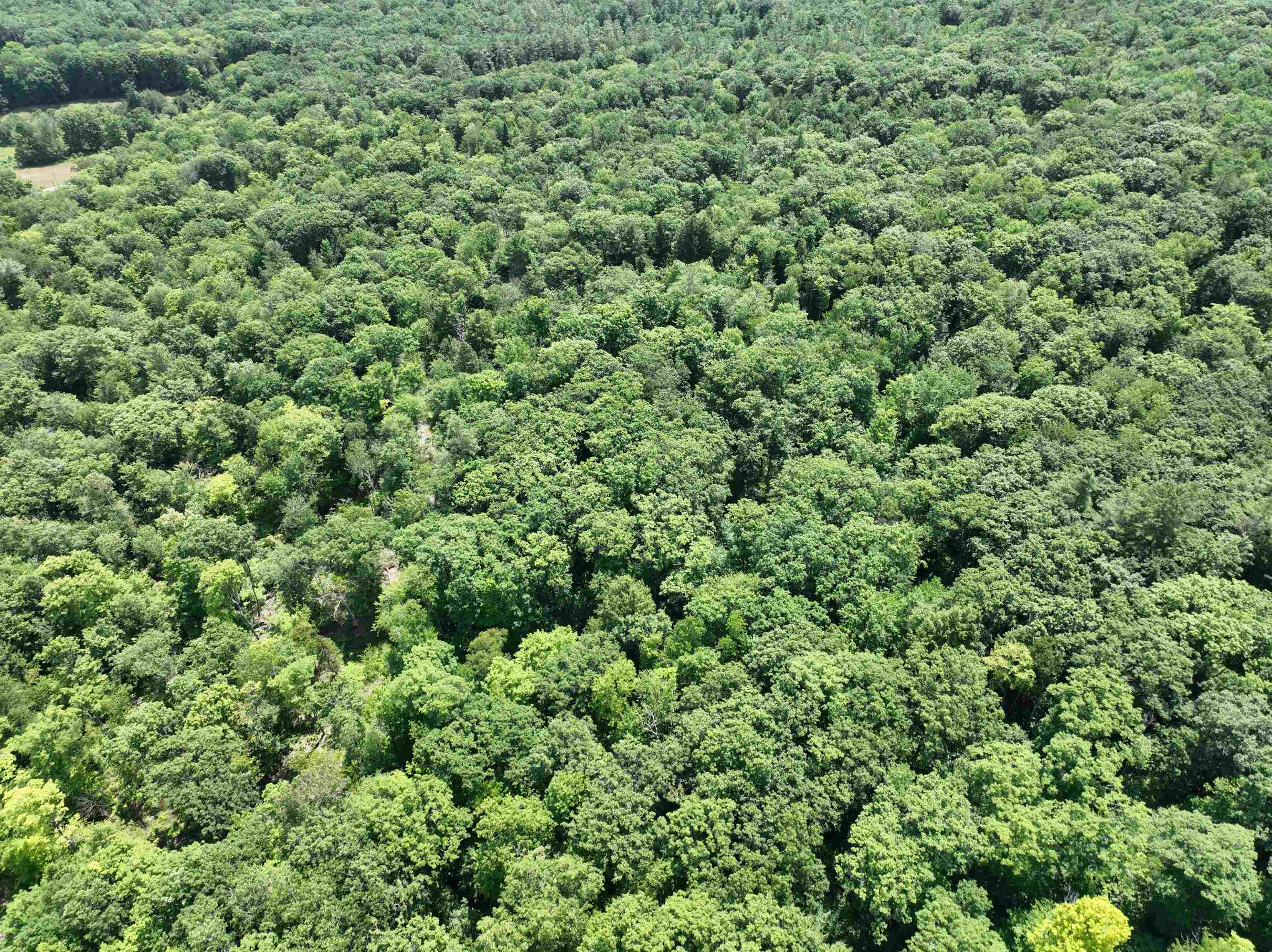 - Denio Road St. Johnsbury, VT 05819 - Photo 30 of 47