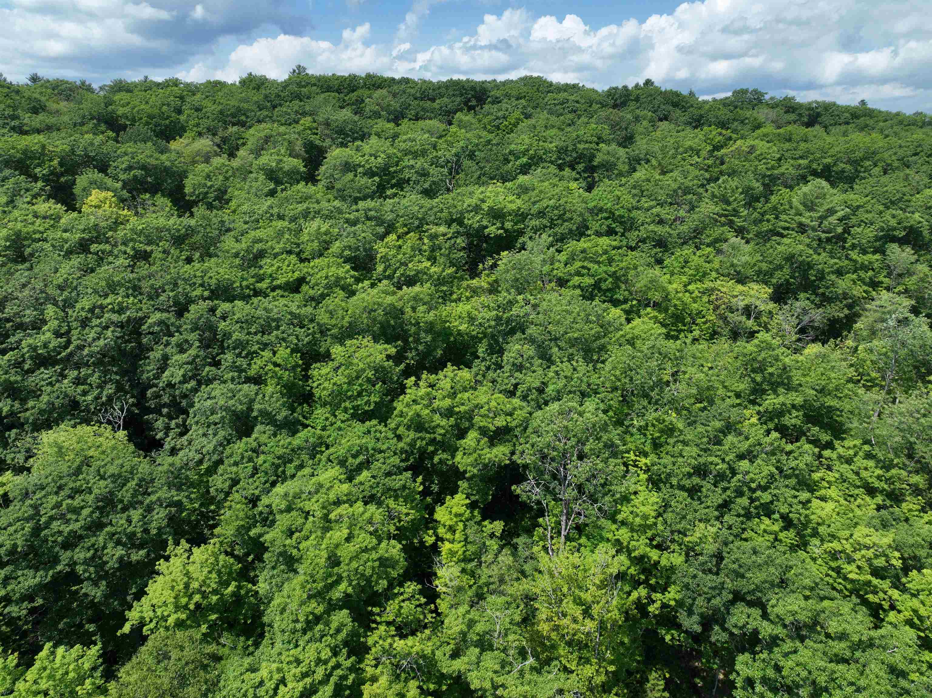 - Denio Road St. Johnsbury, VT 05819 - Photo 32 of 47