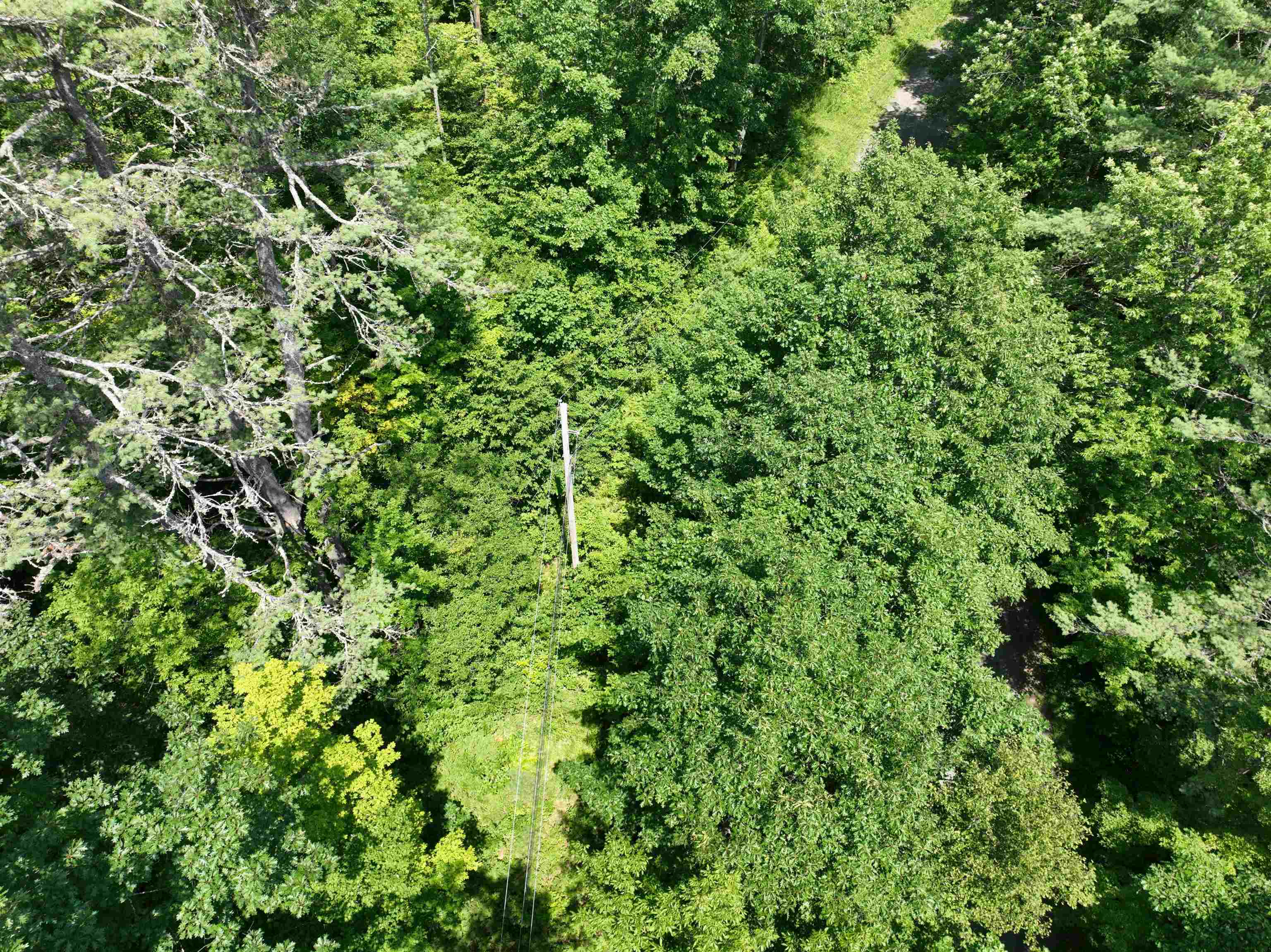 - Denio Road St. Johnsbury, VT 05819 - Photo 38 of 47