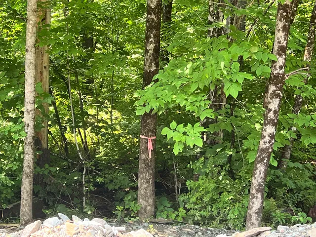 $279,900 | - Denio Road, St. Johnsbury, VT 05819