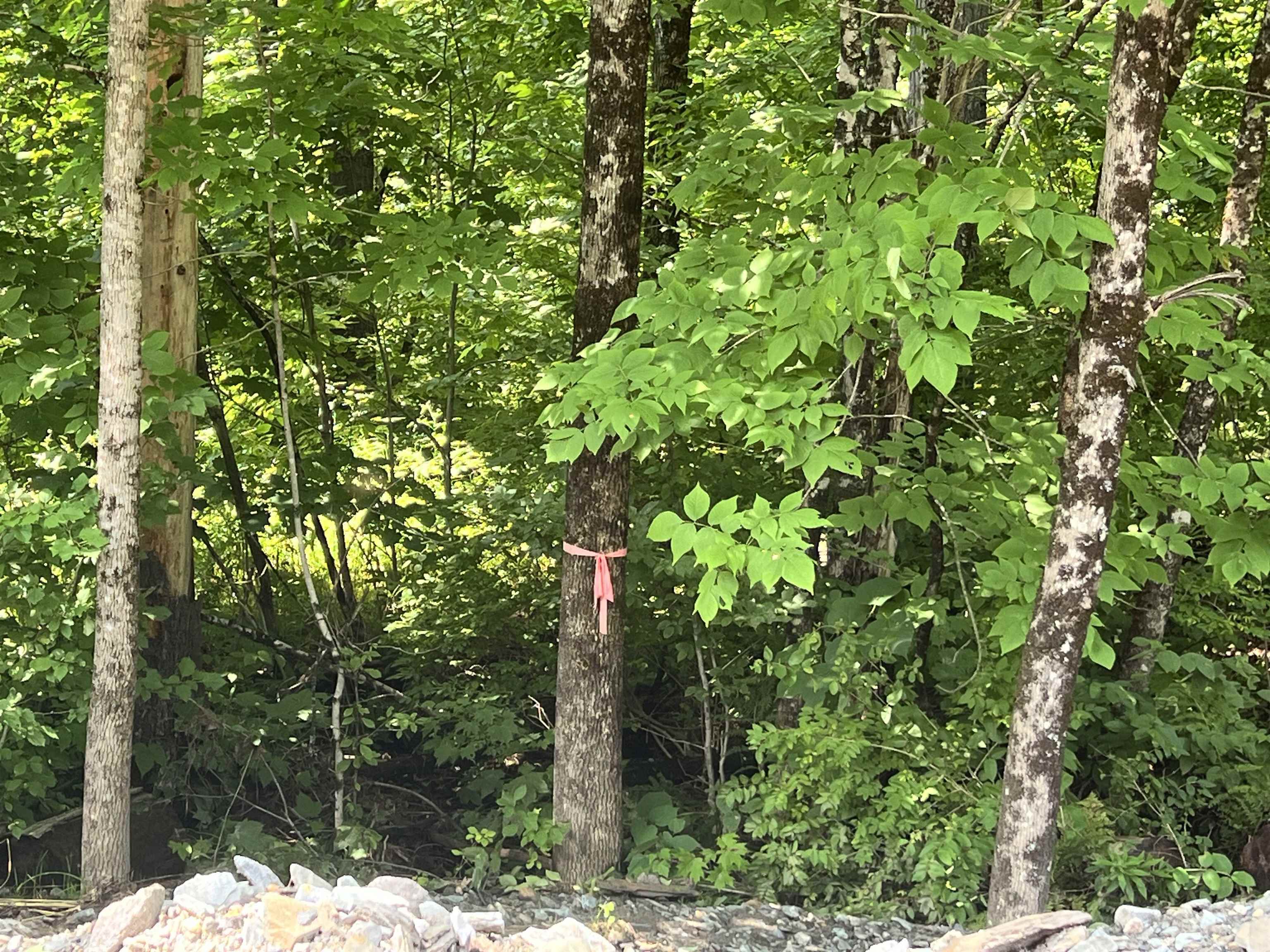 - Denio Road St. Johnsbury, VT 05819 - Photo 5 of 47