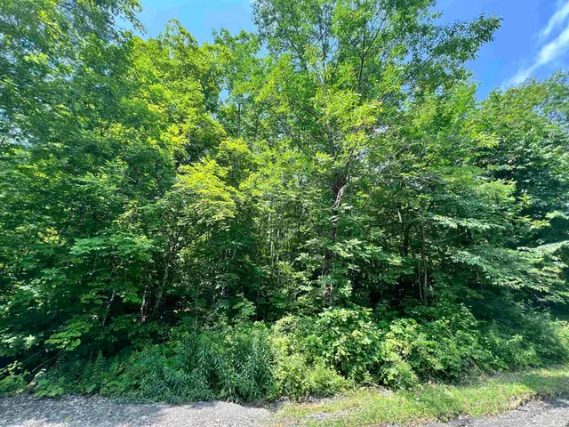 $279,900 | - Denio Road, St. Johnsbury, VT 05819