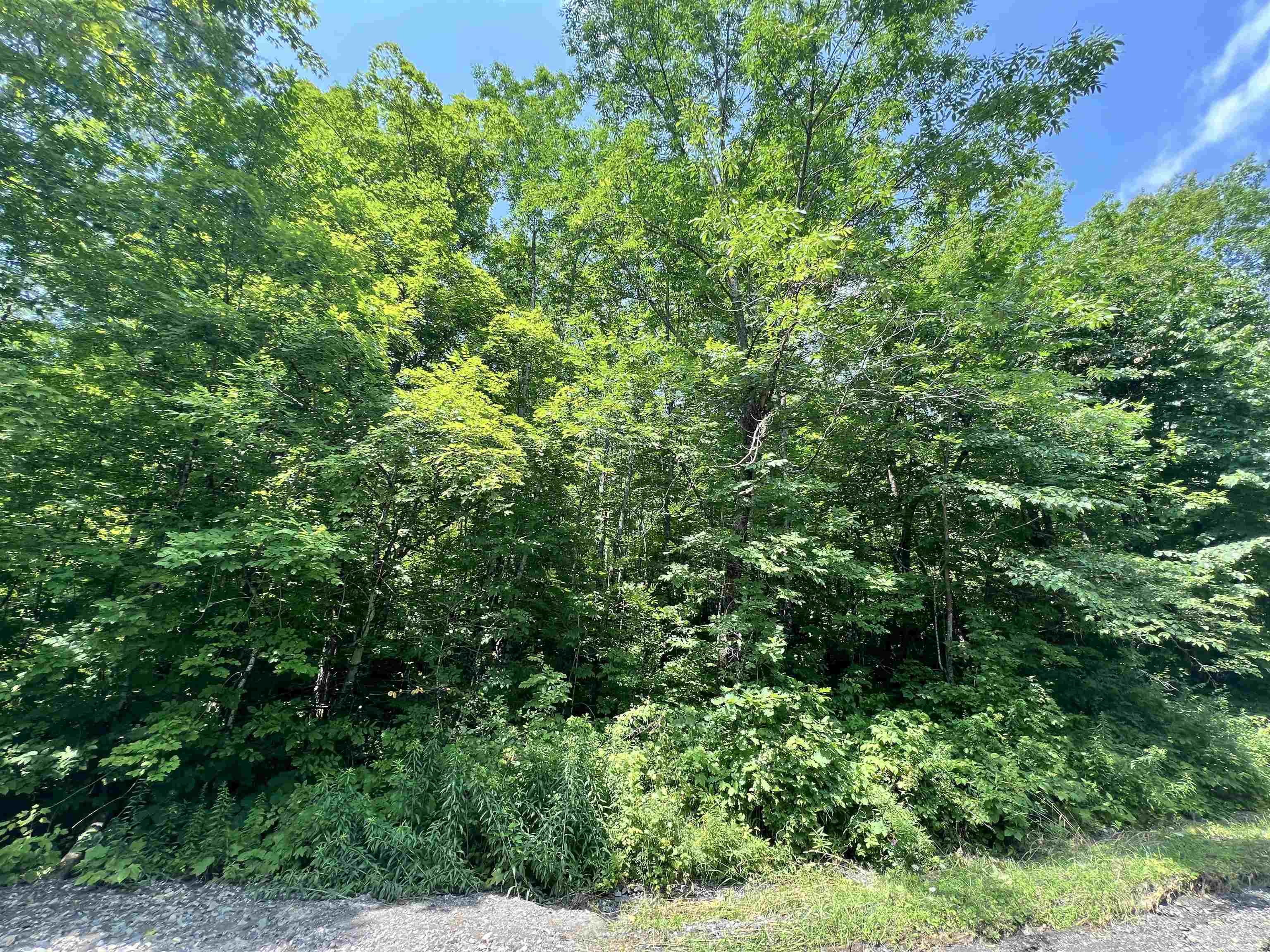 - Denio Road St. Johnsbury, VT 05819 - Photo 6 of 47