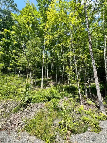 $279,900 | - Denio Road, St. Johnsbury, VT 05819