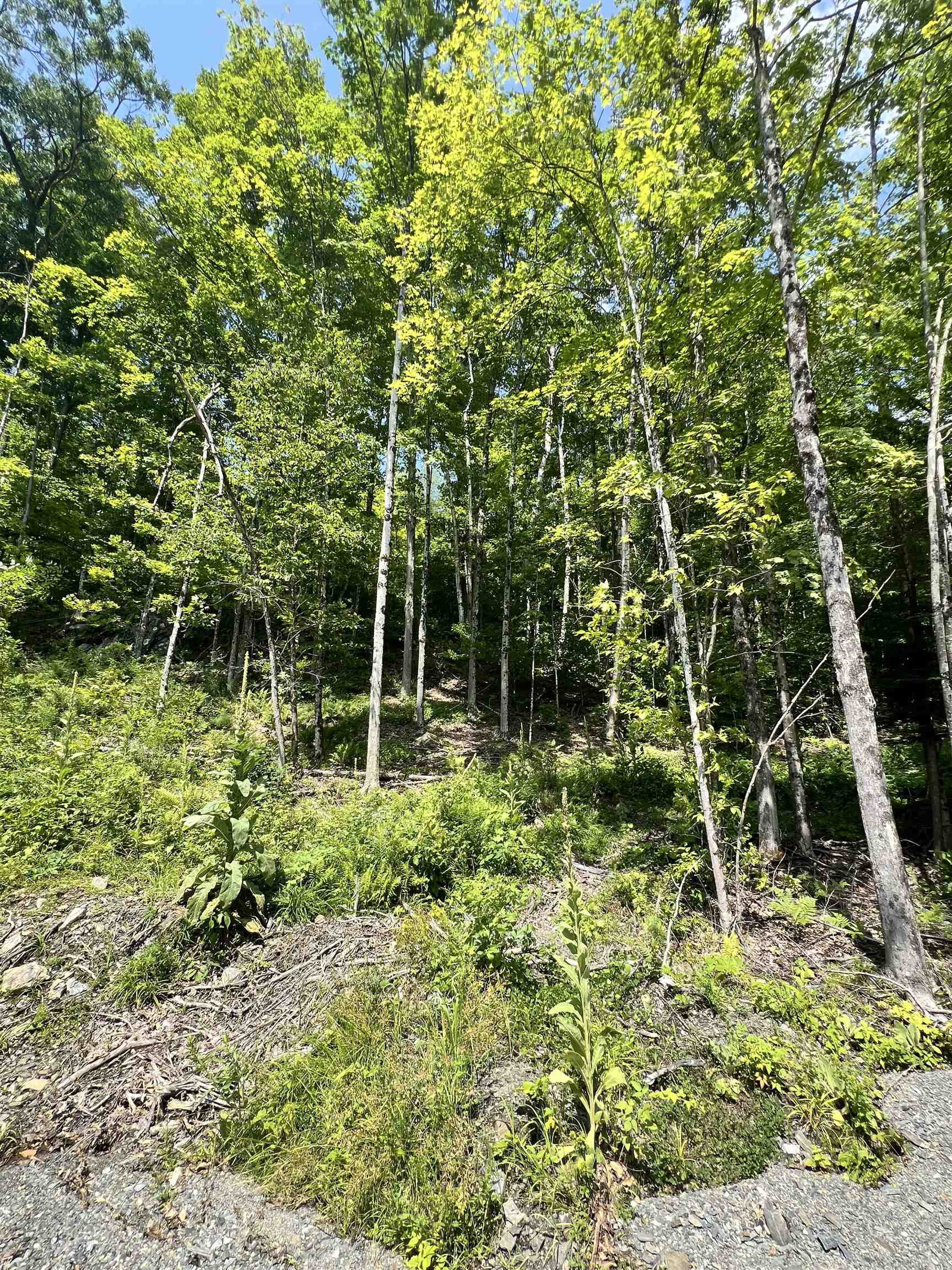 - Denio Road St. Johnsbury, VT 05819 - Photo 8 of 47