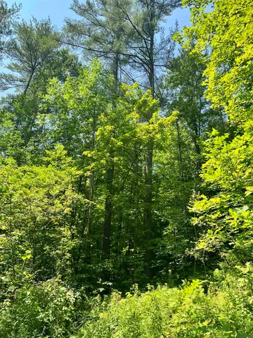 $279,900 | - Denio Road, St. Johnsbury, VT 05819