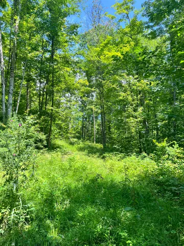 $279,900 | - Denio Road, St. Johnsbury, VT 05819